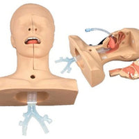 Modelo de Entrenamiento de intubacion Oral de cavidad Nasal - Simuladores traqueal