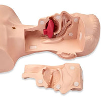 Modelo de Entrenamiento de intubacion Oral de cavidad Nasal - Simuladores traqueal