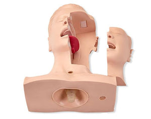 Modelo de Entrenamiento de intubacion Oral de cavidad Nasal - Simuladores traqueal