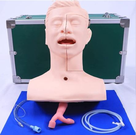 Modelo de Entrenamiento de intubacion Oral de cavidad Nasal - Simuladores traqueal